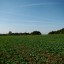 DSC01917