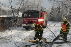 výjezdy 2013.01.11. strom